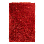 Tapis à poils longs rouge terracotta polaire