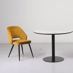 Chaise de salle à manger Santry en velours à dossier incurvé