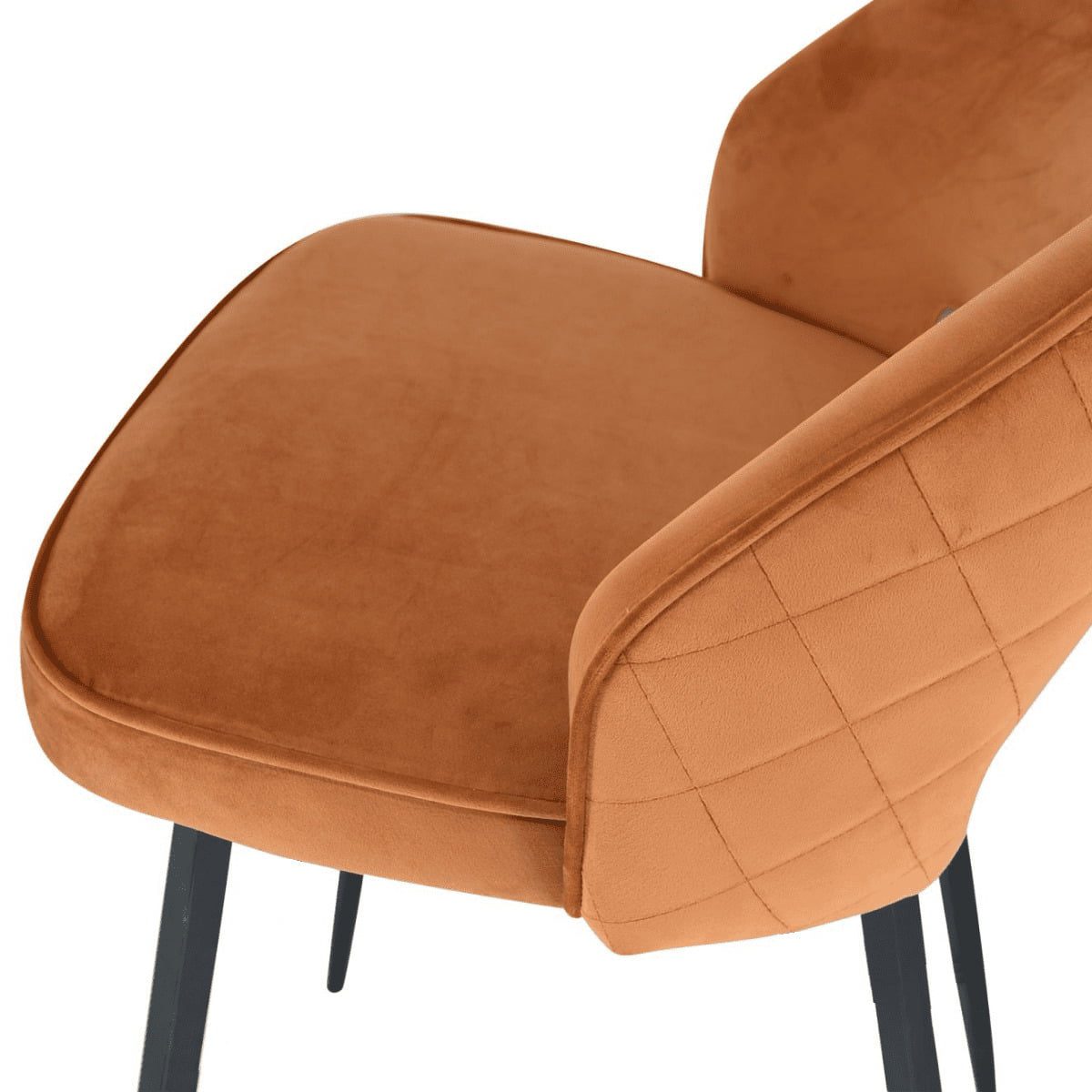 Chaise de salle à manger Santry en velours à dossier incurvé